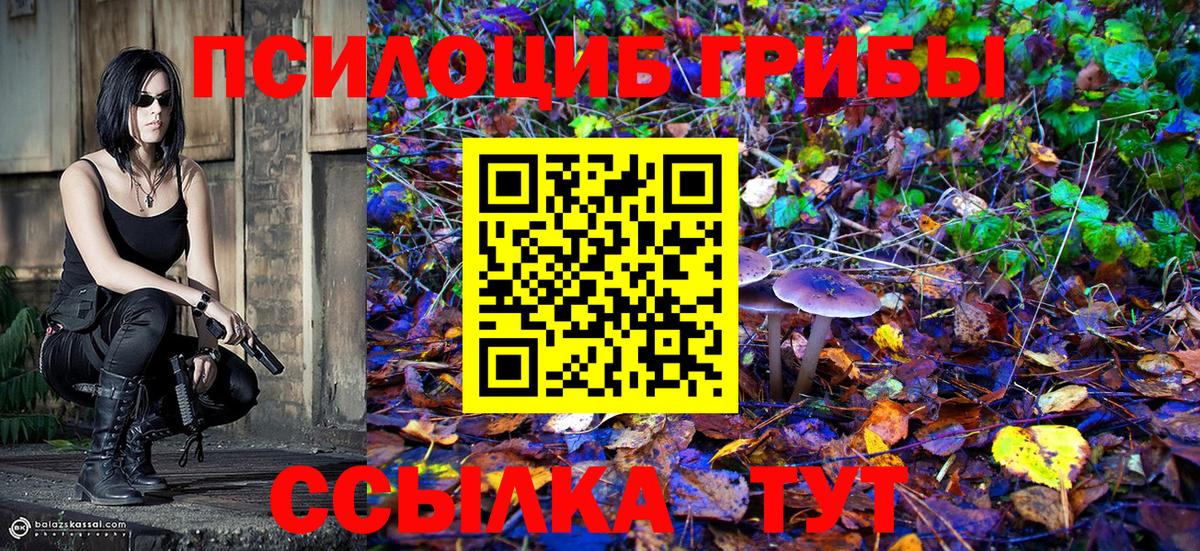 Псилоцибиновые грибы ЛСД  Вход с VPN  Фролово  Псилоцибиновые грибы Magic Shrooms 